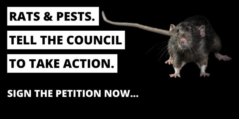 Cllr Matthew Dorrance is calling on Powys County Council to bring back its Pest Control Service.